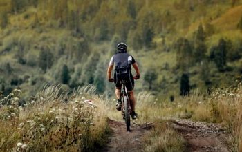 Trainingsplanung für Sportler
