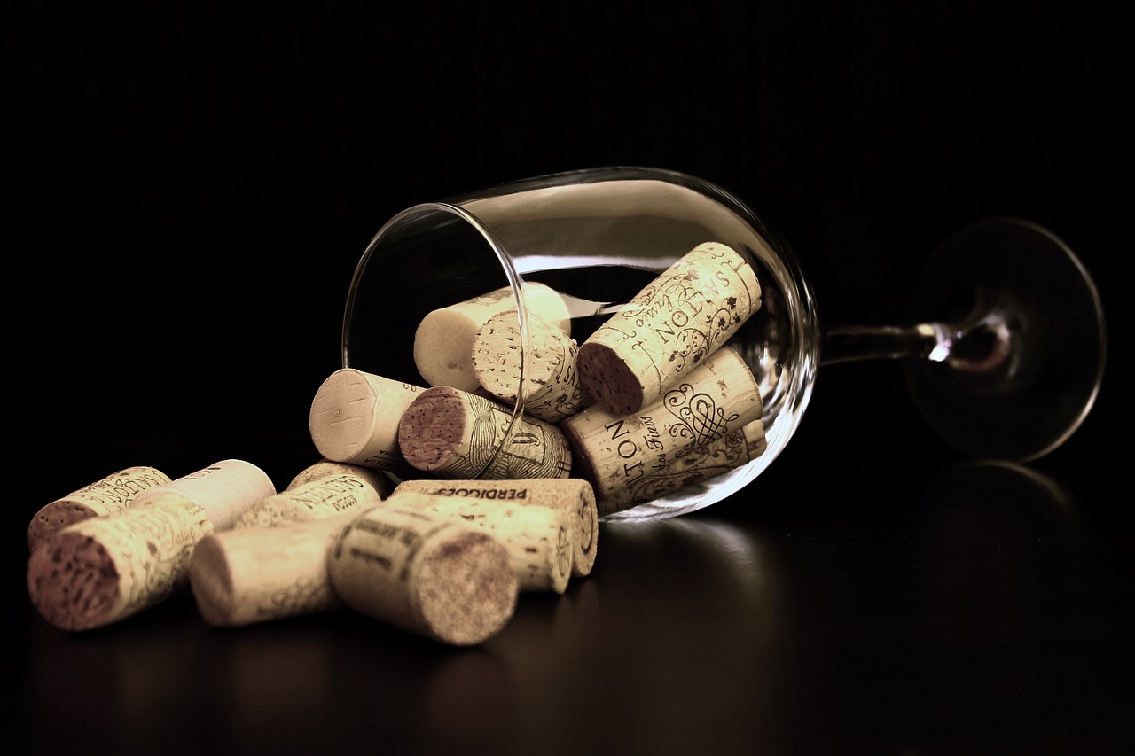 Alles, was Sie über Wein wissen wollten